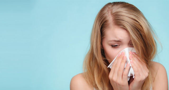 Howler Costa Rica Wellness Doctors In Respiratory Allergy 820x440.jpg