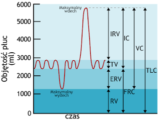 Ilustracja artykułu CPAPblog